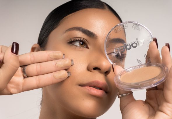 AliceAI Foundation model