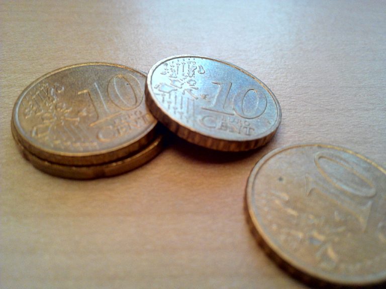 Euro falls