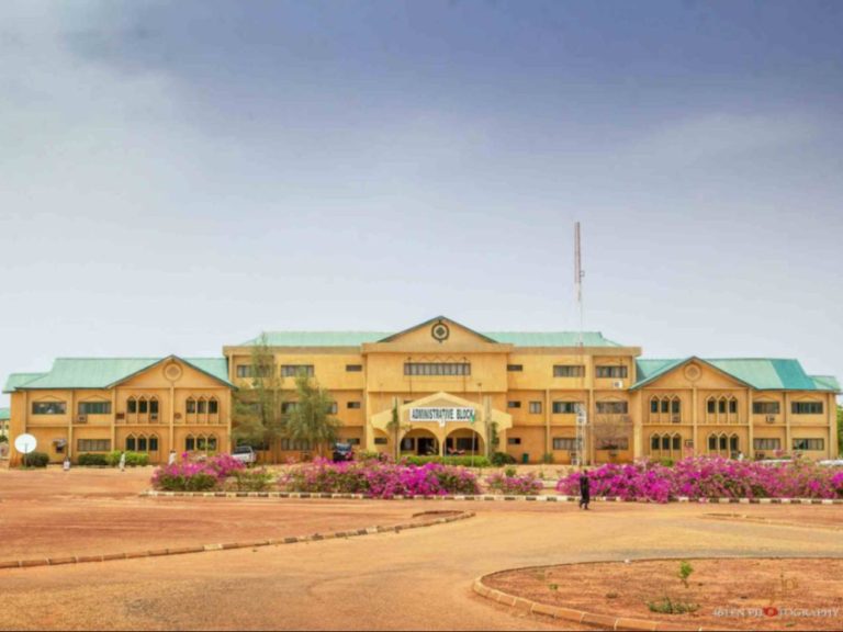 ksusta-portal_1759246279