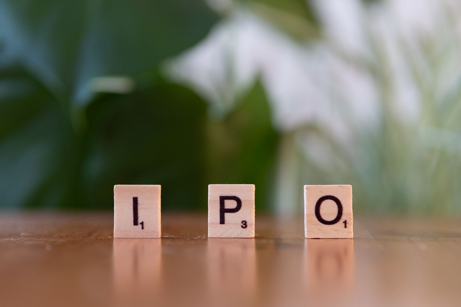 NSE IPO subscription